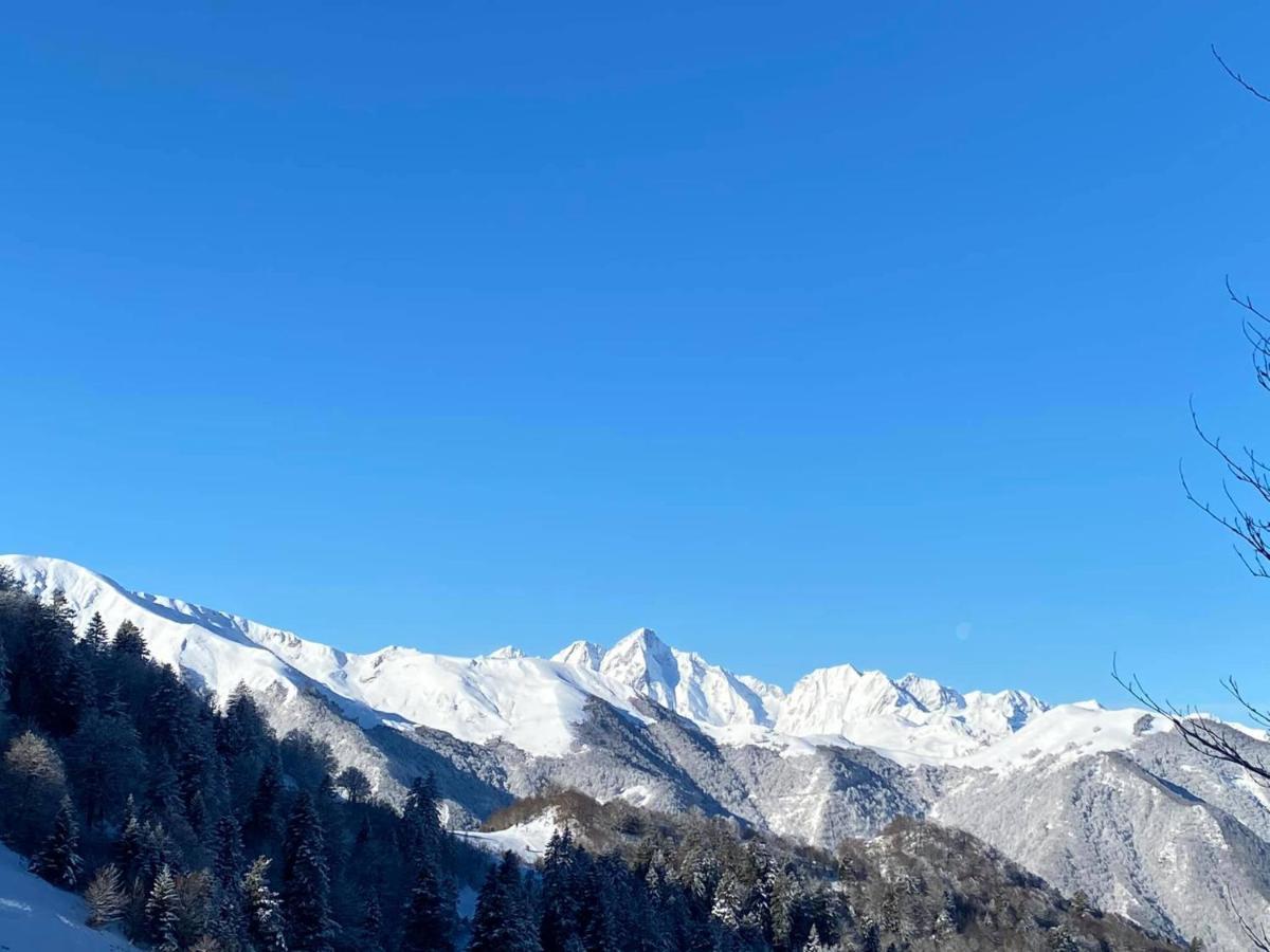 Pleine Nature Pied Pistes Piscine Chauffee 우스투 외부 사진