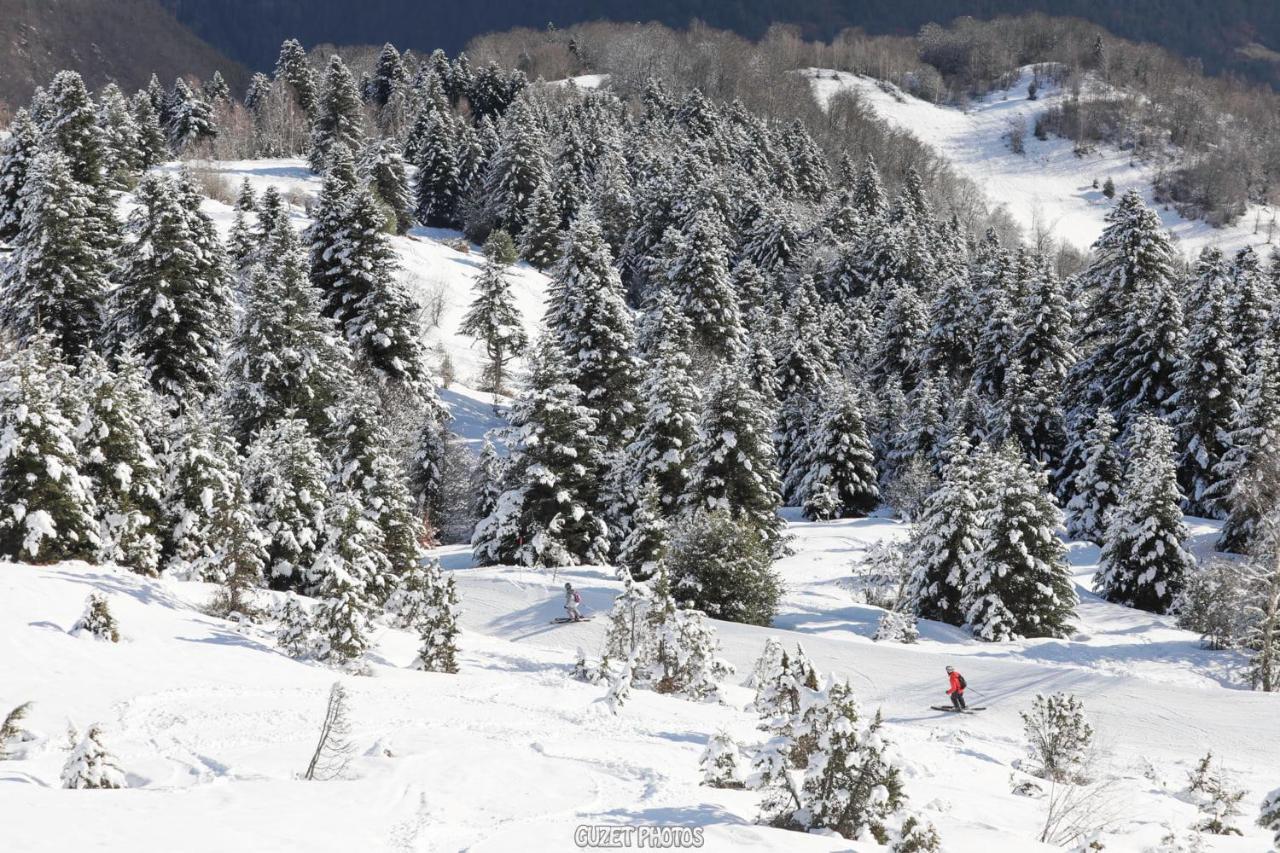 Pleine Nature Pied Pistes Piscine Chauffee 우스투 외부 사진