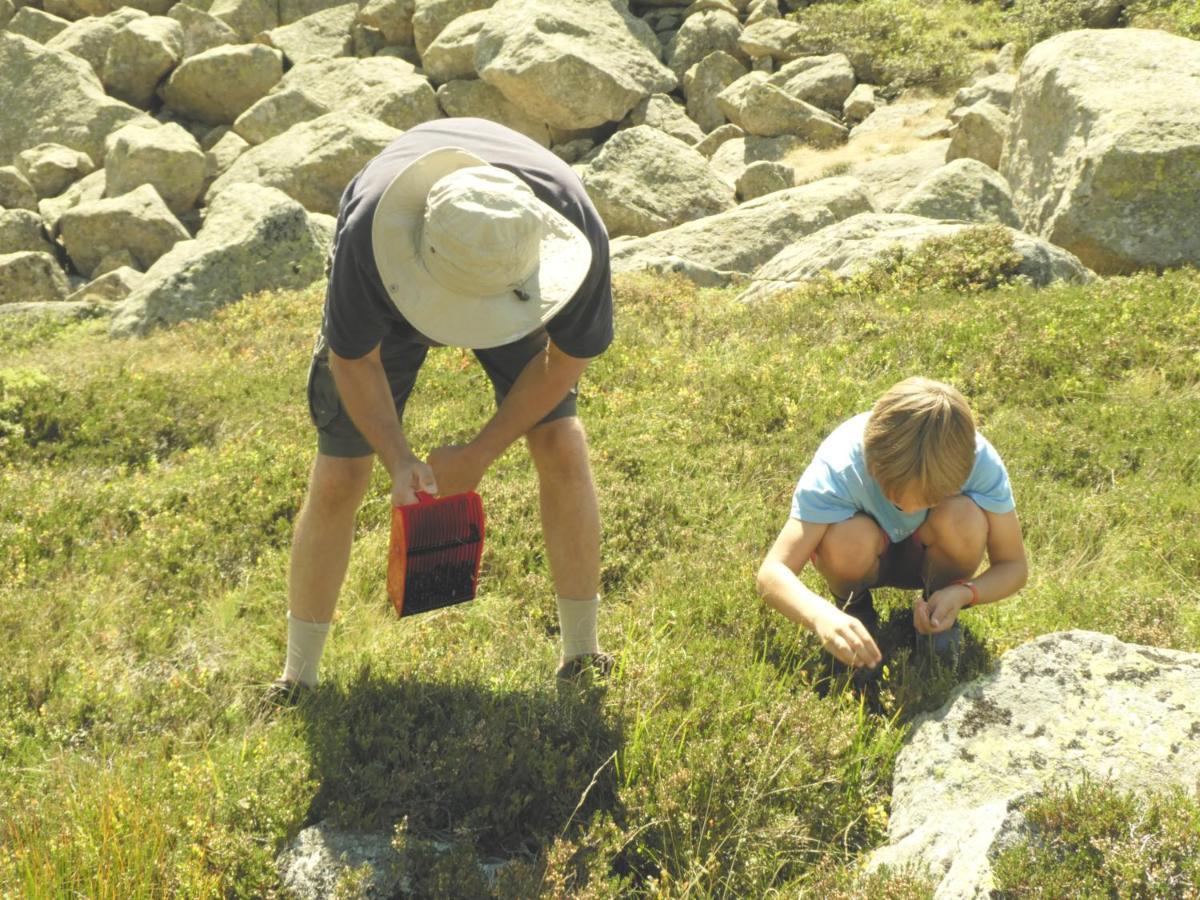 Pleine Nature Pied Pistes Piscine Chauffee 우스투 외부 사진