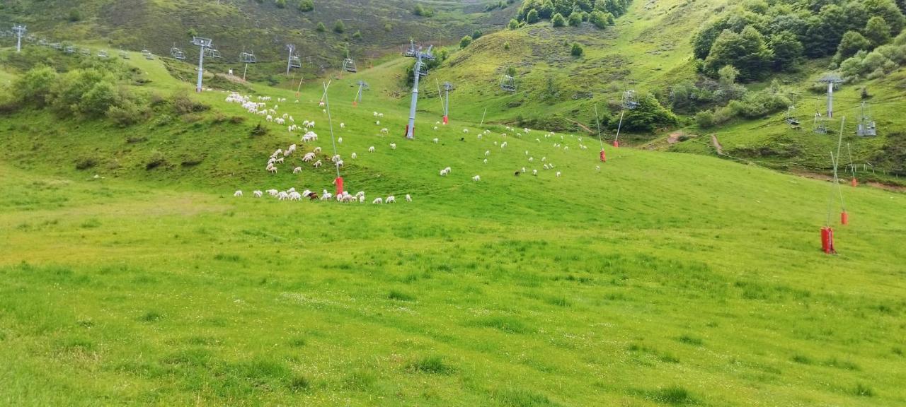 Pleine Nature Pied Pistes Piscine Chauffee 우스투 외부 사진