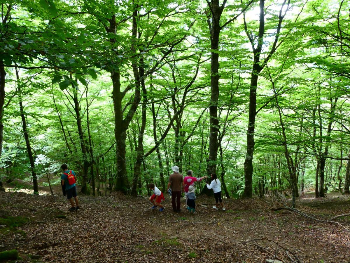 Pleine Nature Pied Pistes Piscine Chauffee 우스투 외부 사진