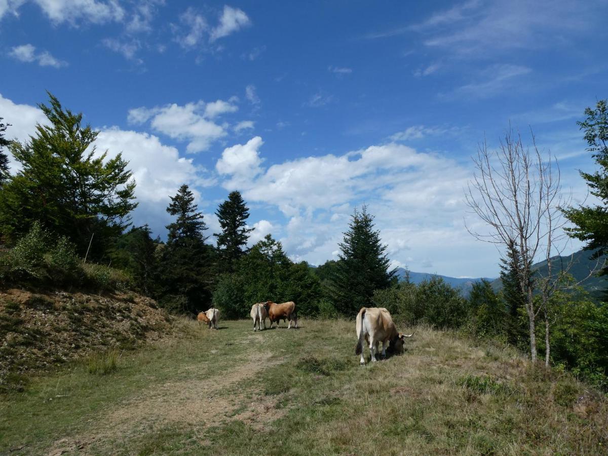 Pleine Nature Pied Pistes Piscine Chauffee 우스투 외부 사진